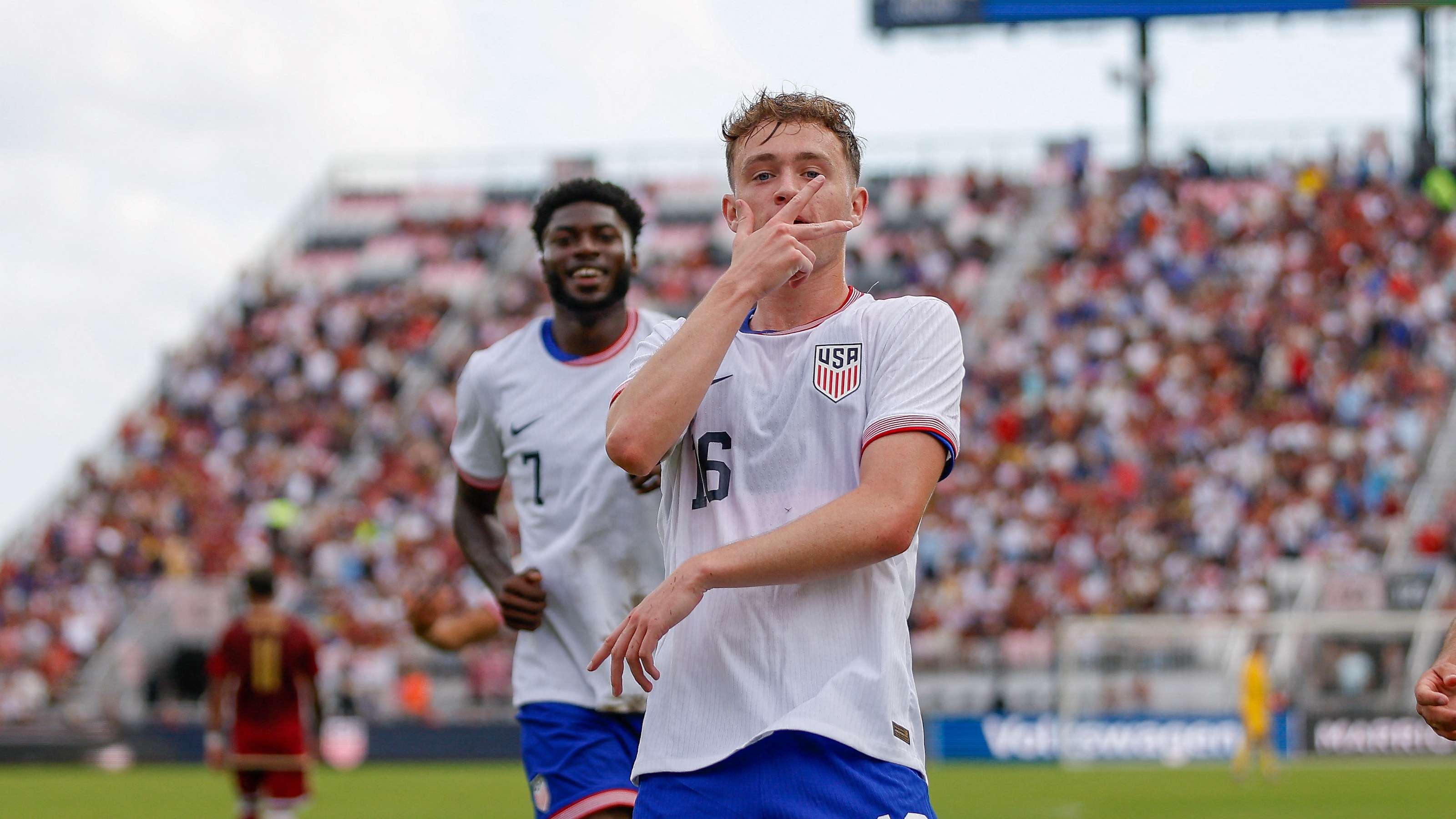 波特的得分 波特的得分